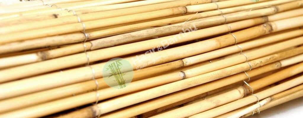 Bambu Kamış
