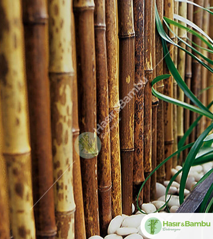  Bambu  Karg Bambu  Dekorasyon
