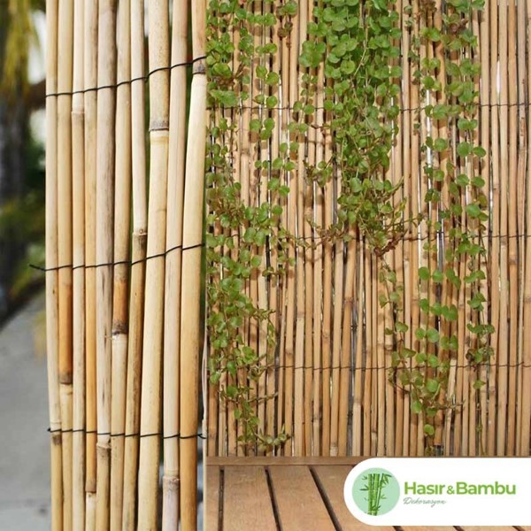 Bambu Hasır