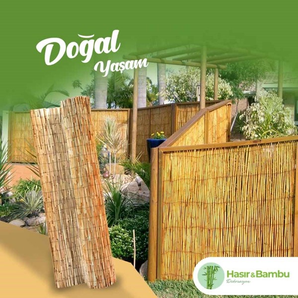 Doğal Mekanların Sağlığa Etkisi