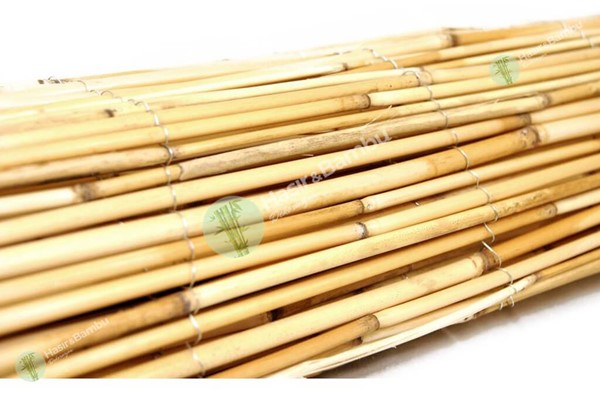 Bambu Kamış