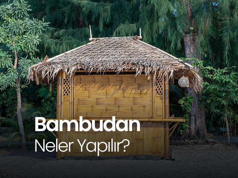 bambu-nedir