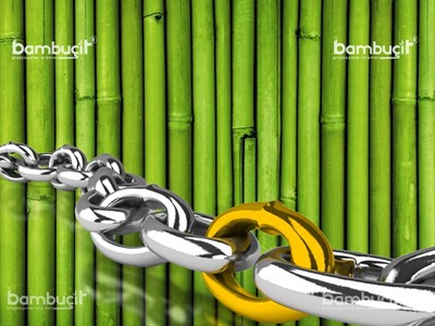 Bambu Nedir?