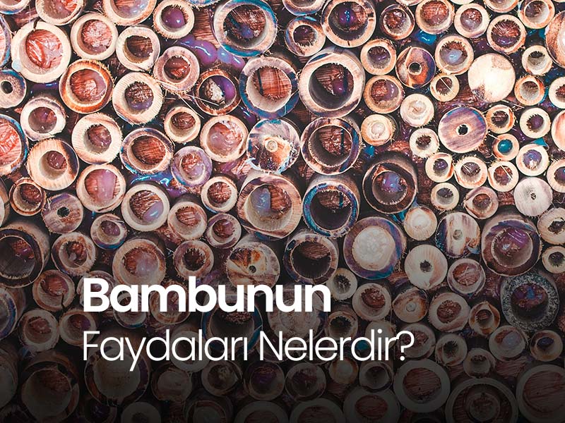 bambu-nedir