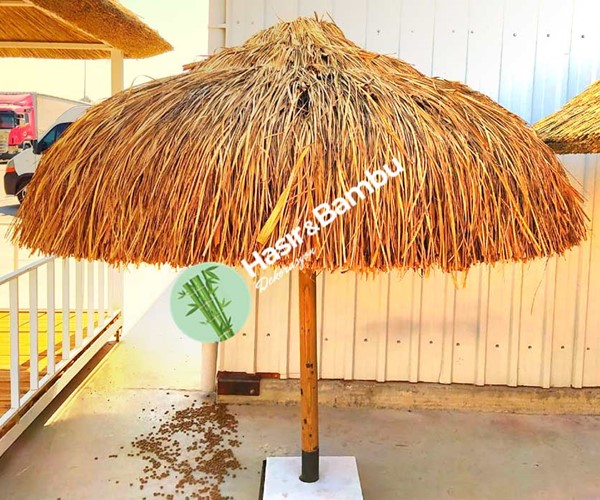 Bambu Şemsiye