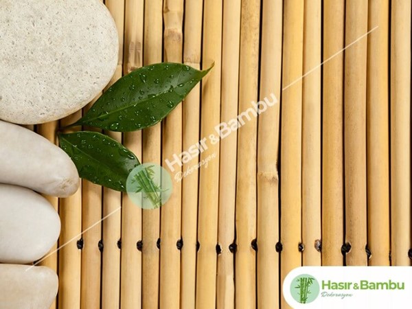 Dekorluk Parlak Kamış