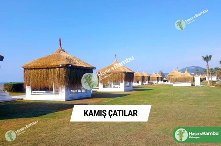 Kamış Çatı