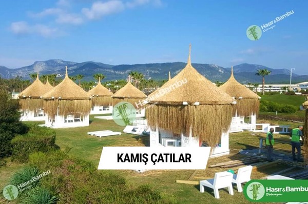 Kamış Çatılar