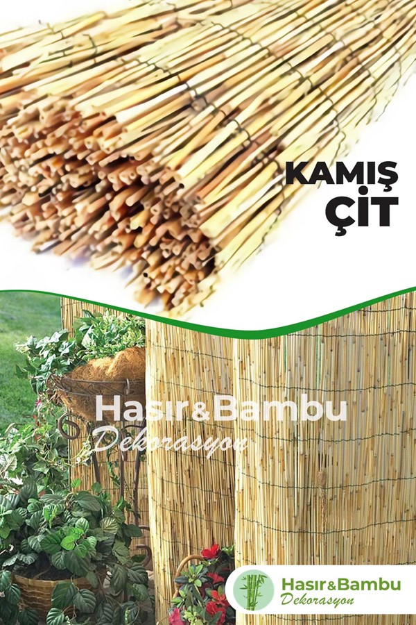 Kamış Çit