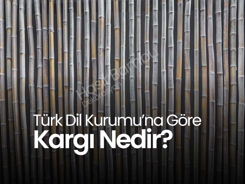 Kargı Nedir?