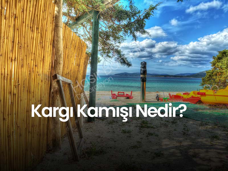 Kargı Nedir?