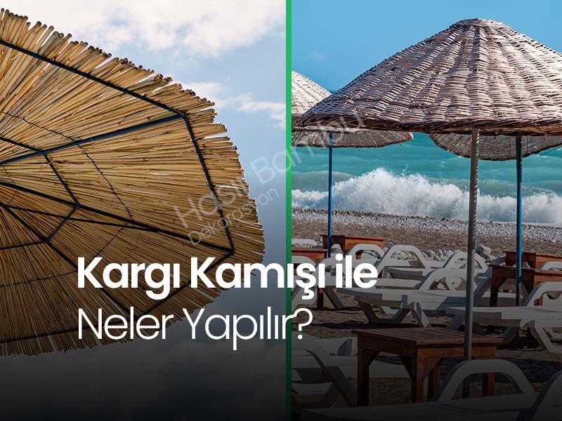 Kargı Nedir?