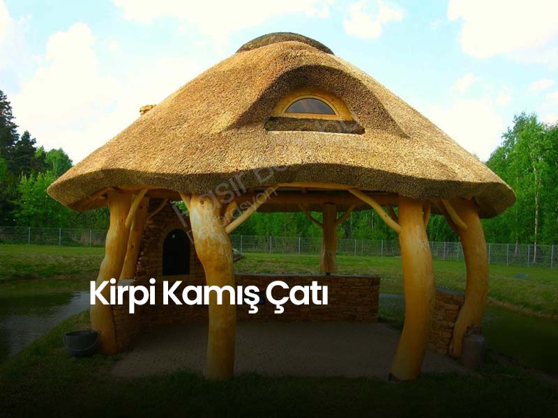 Kirpi kamış Çatı