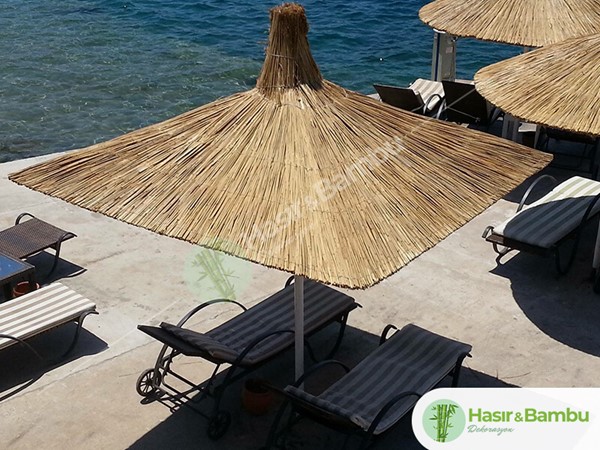 Kamış Şemsiyeler