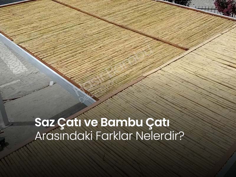 Saz Çatı ve Bambu Çatı Arasındaki Farklar Nelerdir