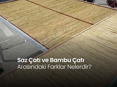 Saz Çatı ve Bambu Çatı Arasındaki Farklar Nelerdir?
